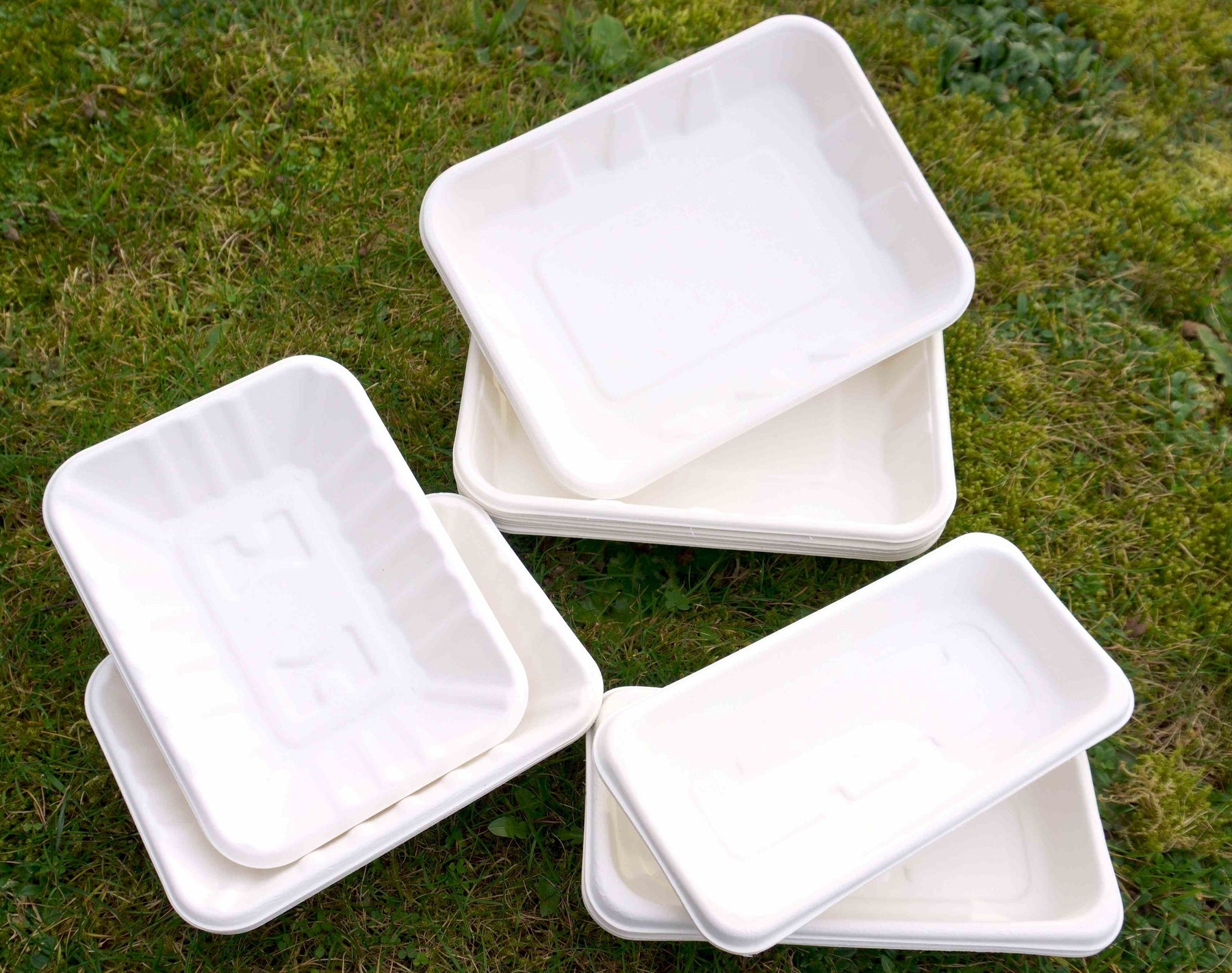 NEW! Bagasse Trays