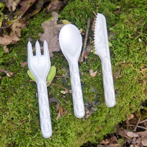 Biodegradable Bagasse Spoons
