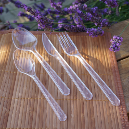 Strong Clear Reusable Plastic Spoons